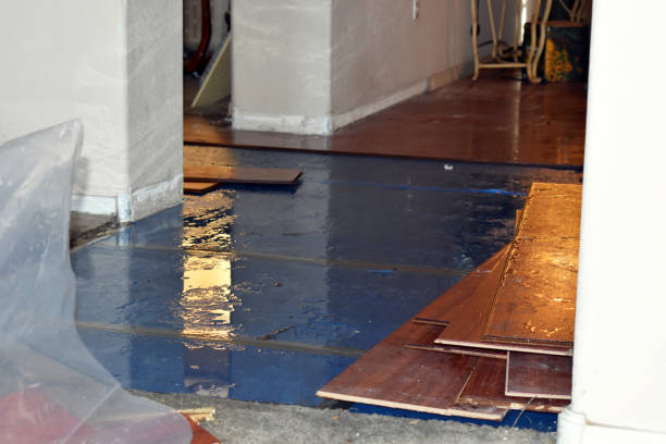 Professional Basement Flood Cleanup technician working in Bedford Hills, NY